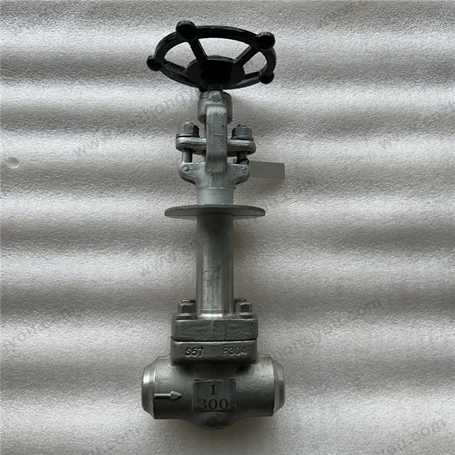 -196℃ LNG Extension Stem Cryogenic Globe Valve, 1'' Class 300#, ASTM A182 F304 Body, ASTM A182 F304 Trim, Butt Welded