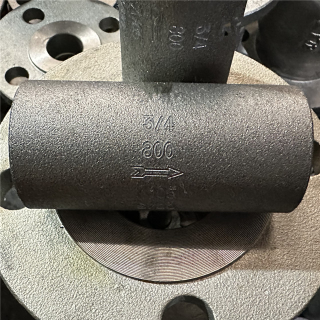 DN20 Forged Steel A105 Axial Flow Check Valve, 0.75'' 800LB, ASTM A105 Body, ASTM A182 F304 Trim, SW Ends